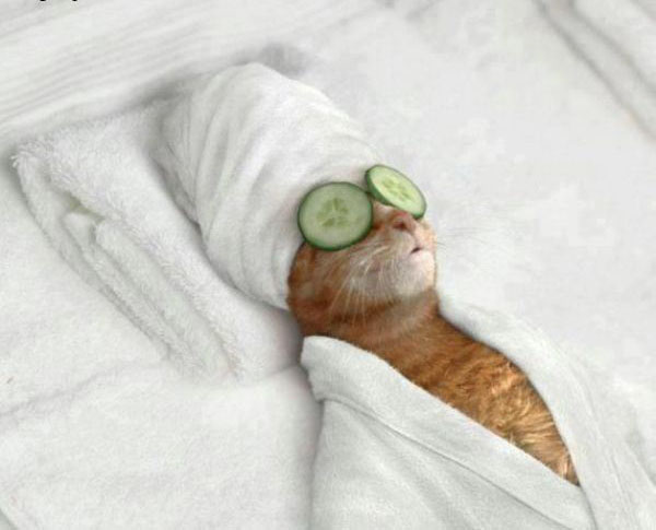 Spa Day