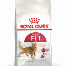 Royal Canin Cat Regular Fit32 400g