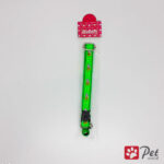 Cat Collar - 2020048