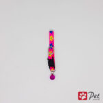 Kitten Collar - 000-36