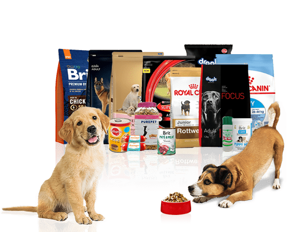 dog supply websites