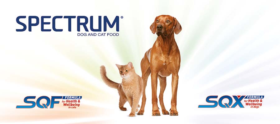 Spectrum Home Banner