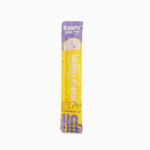 Amelisa Rawly Stick Plus Oral Refresh Pet Puree - Salmon & Blueberry for Hair+Skin (16g)