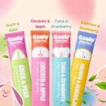 Amelisa Rawly Stick Plus Oral Refresh Pet Puree - 4 Assorted Flavours (16g x 4)